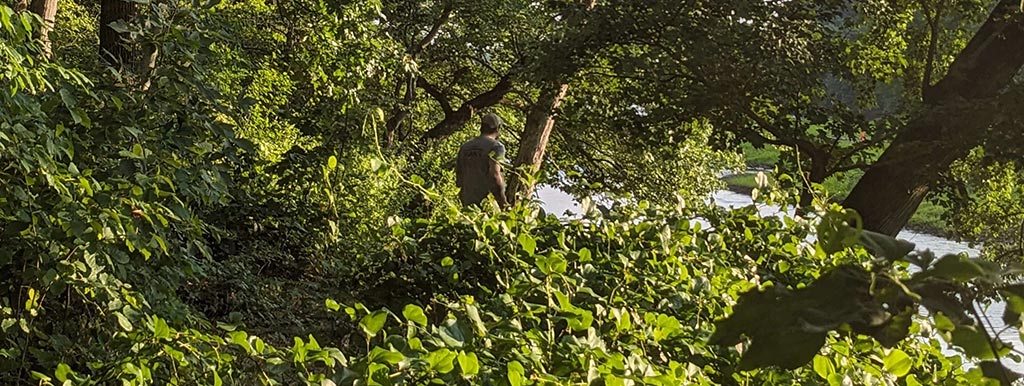 nothchris in a forest